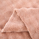 Luxury Soft and skin-friendly coral velvet Coral Fleece, High Quality Plush Fabric